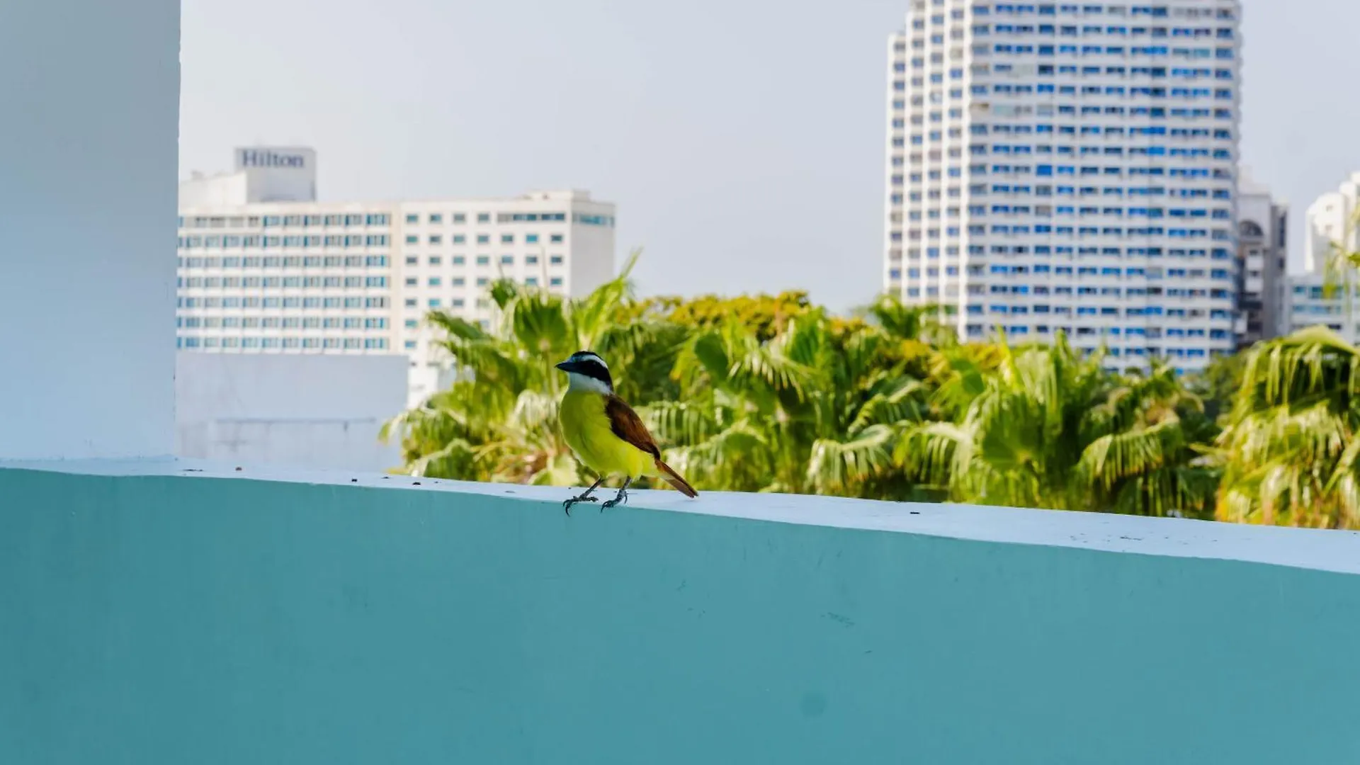 Hotel Coral Reef Cartagena